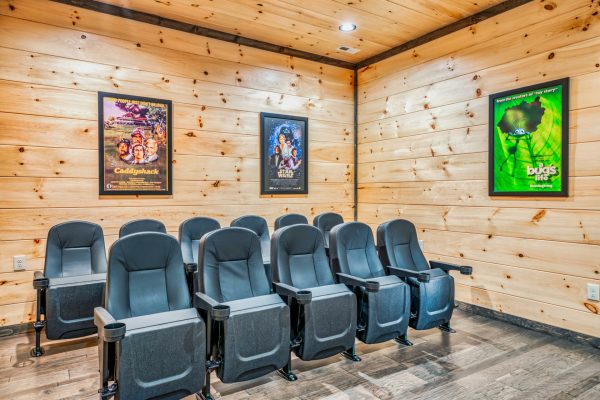 11-seater theater room