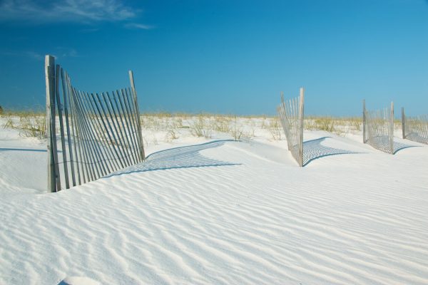 Sand dunes in Gulf State Park, Gulf Shores, Alabama, USA.